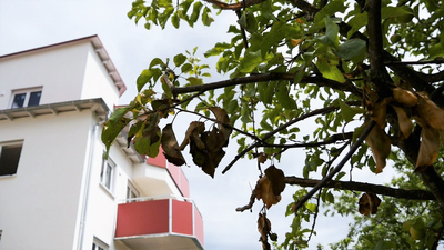 Klimaschutzgesetz Massivbau